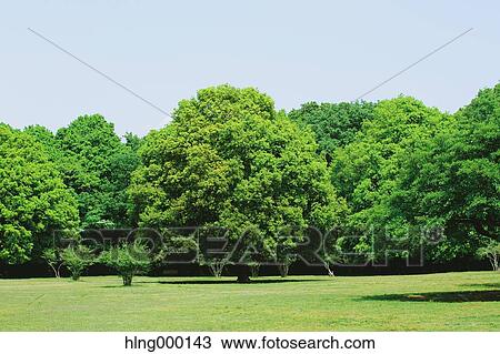 Stock Image - Kanagawa Prefecture, Japan. Fotosearch