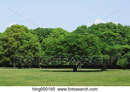 Kanagawa Prefecture, Japan View Large Photo Image Stock Image - Kanagawa Prefecture, Japan. Fotosearch