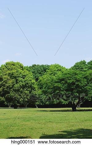 Kanagawa Prefecture, Japan View Large Photo Image Stock Image - Kanagawa Prefecture, Japan. Fotosearch
