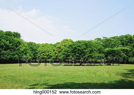 Kanagawa Prefecture, Japan View Large Photo Image Stock Image - Kanagawa Prefecture, Japan. Fotosearch