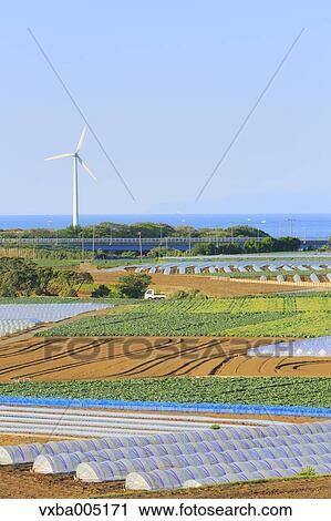 Kanagawa Prefecture, Japan View Large Photo Image Stock Image - Kanagawa Prefecture, Japan. Fotosearch