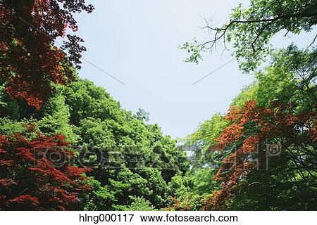 Kanagawa Prefecture, Japan View Large Photo Image Stock Photo - Kanagawa Prefecture, Japan. Fotosearch