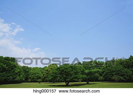 Kanagawa Prefecture, Japan View Large Photo Image Stock Photo - Kanagawa Prefecture, Japan. Fotosearch