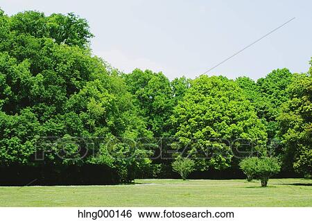 Kanagawa Prefecture, Japan View Large Photo Image Stock Photograph - Kanagawa Prefecture, Japan. Fotosearch