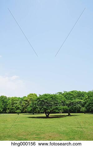 Kanagawa Prefecture, Japan View Large Photo Image Stock Photograph - Kanagawa Prefecture, Japan. Fotosearch