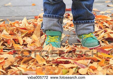 Kid standing on fallen leaves View Large Photo Image Stock Image - Kid standing on fallen leaves. Fotosearch
