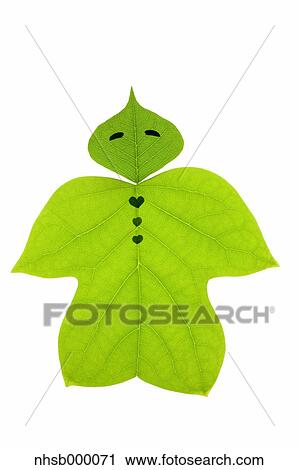 Leaf character View Large Photo Image Stock Image - Leaf character. Fotosearch