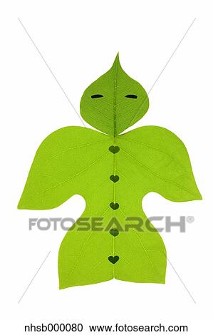 Leaf character View Large Photo Image Stock Image - Leaf character. Fotosearch