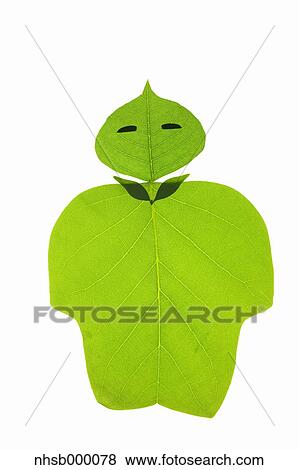 Leaf character View Large Photo Image Stock Photo - Leaf character. Fotosearch