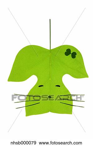 Leaf character View Large Photo Image Stock Photo - Leaf character. Fotosearch