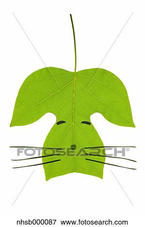 Leaf character View Large Photo Image Stock Photo - Leaf character. Fotosearch