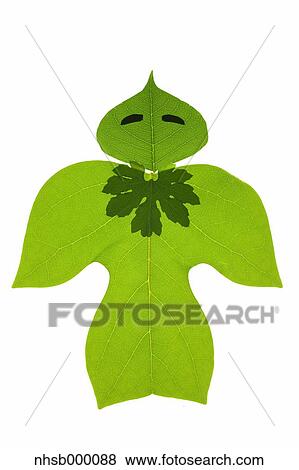 Leaf character View Large Photo Image Stock Photo - Leaf character. Fotosearch