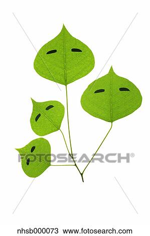 Stock Image - Leaf characters. Fotosearch