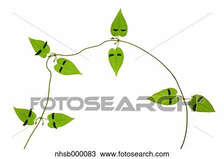 Stock Image - Leaf characters. Fotosearch
