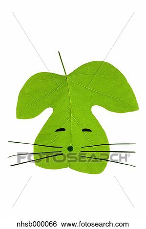 Stock Photograph - Leaf characters. Fotosearch