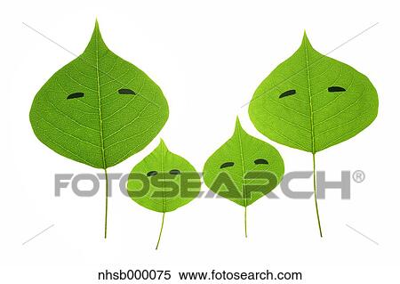 Leaf characters View Large Photo Image Stock Photography - Leaf characters. Fotosearch