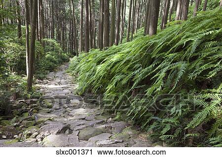 Mie Prefecture, Japan View Large Photo Image Stock Image - Mie Prefecture, Japan. Fotosearch