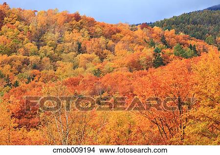 Picture - Nagano Prefecture, Japan. Fotosearch