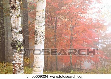 Nagano Prefecture, Japan View Large Photo Image Picture - Nagano Prefecture, Japan. Fotosearch