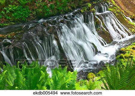 Picture - Nagano Prefecture, Japan. Fotosearch