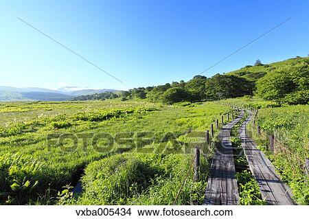 Picture - Nagano Prefecture, Japan. Fotosearch