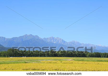 Picture - Nagano Prefecture, Japan. Fotosearch