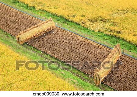 Stock Image - Nagano Prefecture, Japan. Fotosearch