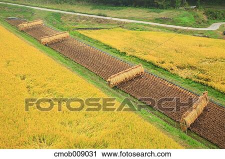 Nagano Prefecture, Japan View Large Photo Image Stock Image - Nagano Prefecture, Japan. Fotosearch