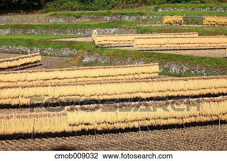 Nagano Prefecture, Japan View Large Photo Image Stock Image - Nagano Prefecture, Japan. Fotosearch
