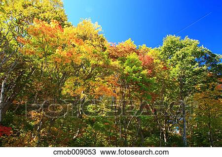 Stock Image - Nagano Prefecture, Japan. Fotosearch
