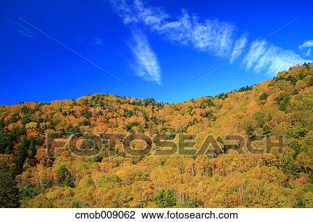 Stock Image - Nagano Prefecture, Japan. Fotosearch
