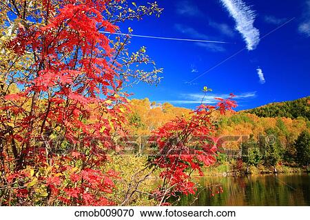Nagano Prefecture, Japan View Large Photo Image Stock Image - Nagano Prefecture, Japan. Fotosearch