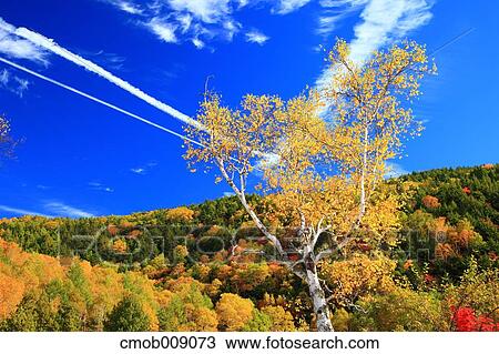 Nagano Prefecture, Japan View Large Photo Image Stock Image - Nagano Prefecture, Japan. Fotosearch