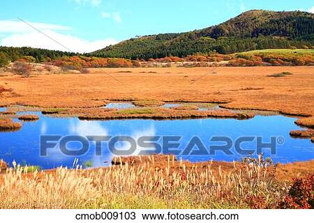 Nagano Prefecture, Japan View Large Photo Image Stock Image - Nagano Prefecture, Japan. Fotosearch