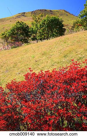Stock Image - Nagano Prefecture, Japan. Fotosearch