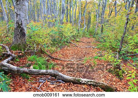 Stock Image - Nagano Prefecture, Japan. Fotosearch