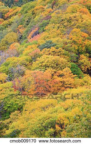 Nagano Prefecture, Japan View Large Photo Image Stock Image - Nagano Prefecture, Japan. Fotosearch