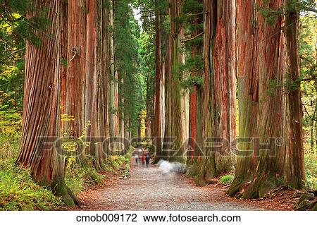 Nagano Prefecture, Japan View Large Photo Image Stock Image - Nagano Prefecture, Japan. Fotosearch