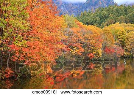 Nagano Prefecture, Japan View Large Photo Image Stock Image - Nagano Prefecture, Japan. Fotosearch