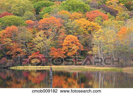Nagano Prefecture, Japan View Large Photo Image Stock Image - Nagano Prefecture, Japan. Fotosearch