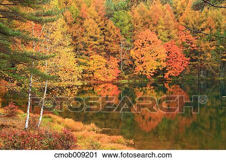 Nagano Prefecture, Japan View Large Photo Image Stock Image - Nagano Prefecture, Japan. Fotosearch