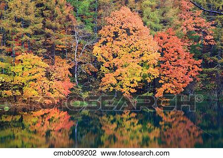 Nagano Prefecture, Japan View Large Photo Image Stock Image - Nagano Prefecture, Japan. Fotosearch