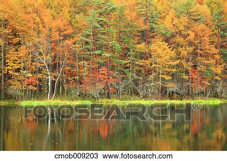 Nagano Prefecture, Japan View Large Photo Image Stock Image - Nagano Prefecture, Japan. Fotosearch