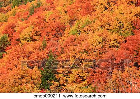 Nagano Prefecture, Japan View Large Photo Image Stock Image - Nagano Prefecture, Japan. Fotosearch