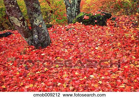 Nagano Prefecture, Japan View Large Photo Image Stock Image - Nagano Prefecture, Japan. Fotosearch