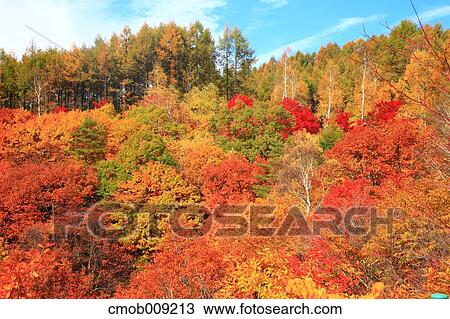Nagano Prefecture, Japan View Large Photo Image Stock Image - Nagano Prefecture, Japan. Fotosearch