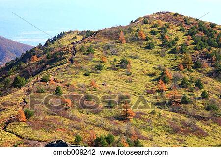 Nagano Prefecture, Japan View Large Photo Image Stock Image - Nagano Prefecture, Japan. Fotosearch