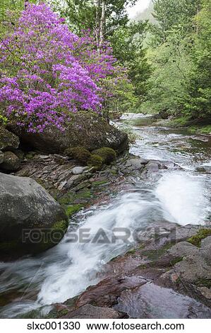 Nagano Prefecture, Japan View Large Photo Image Stock Image - Nagano Prefecture, Japan. Fotosearch