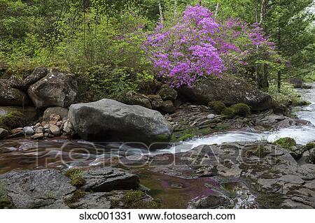 Nagano Prefecture, Japan View Large Photo Image Stock Image - Nagano Prefecture, Japan. Fotosearch