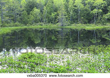 Stock Image - Nagano Prefecture, Japan. Fotosearch